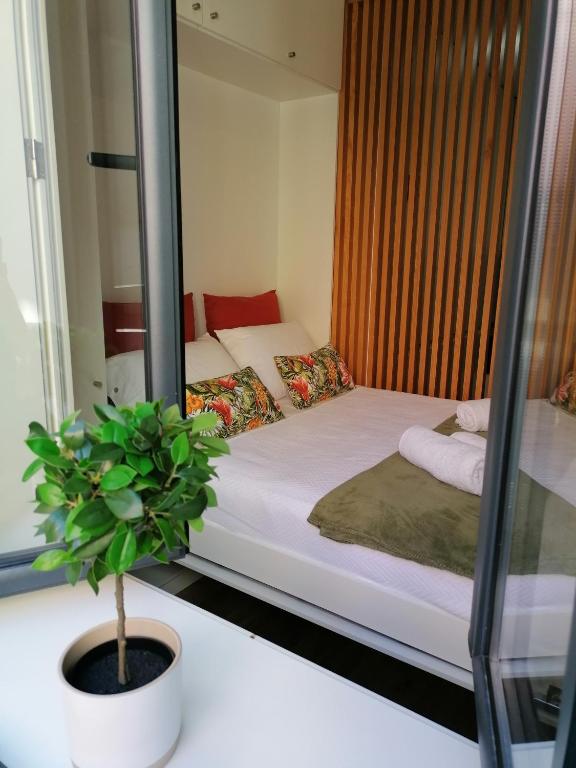 Carlos Alberto Square Apartments room 1